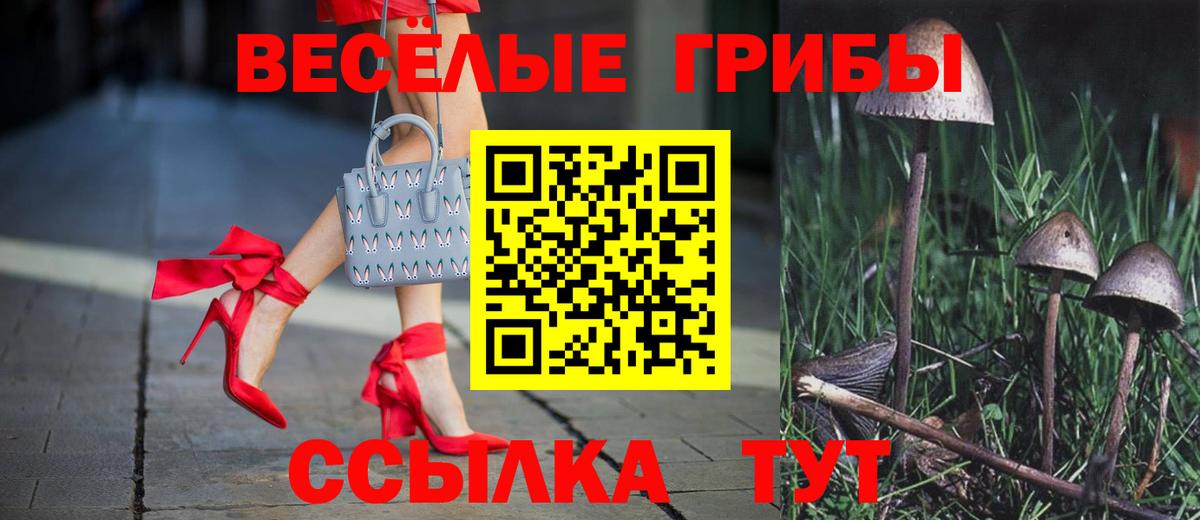 Псилоцибиновые грибы мицелий  Галлюциногенные грибы Magic Shrooms  Свободный  Вход с VPN 