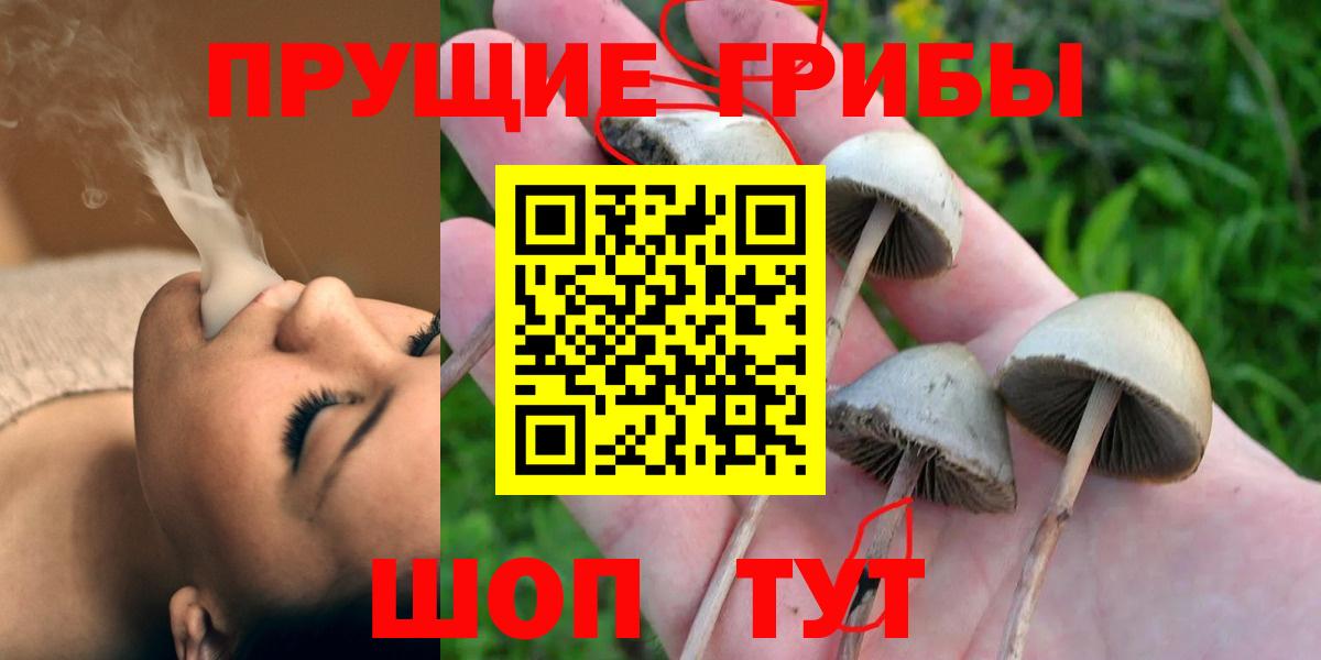 Галлюциногенные грибы мицелий Свободный